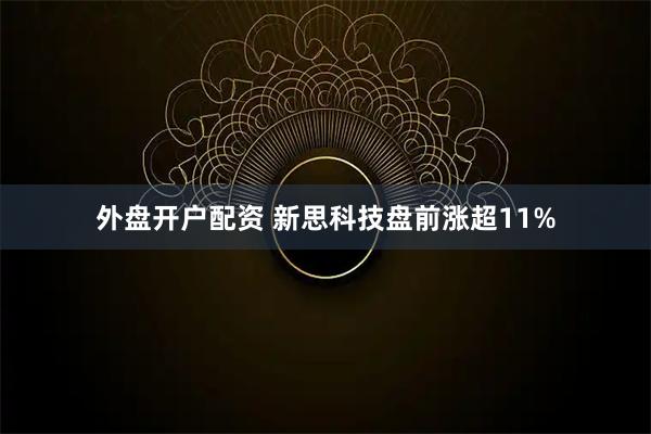 外盘开户配资 新思科技盘前涨超11%