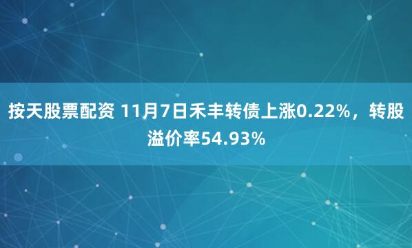 按天股票配资 11月7日禾丰转债上涨0.22%,转股溢价率54.93%